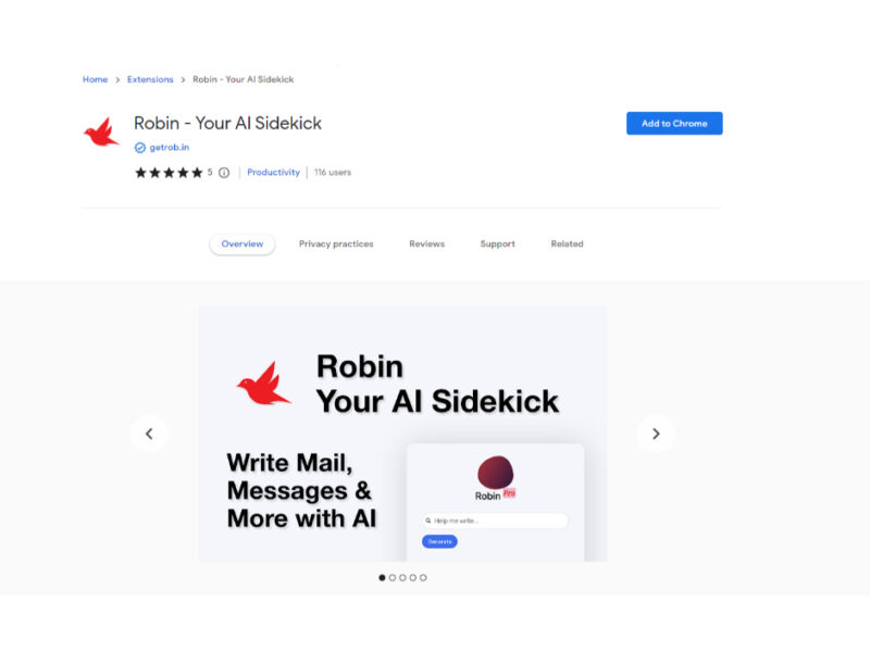 Robin - Your AI Sidekick